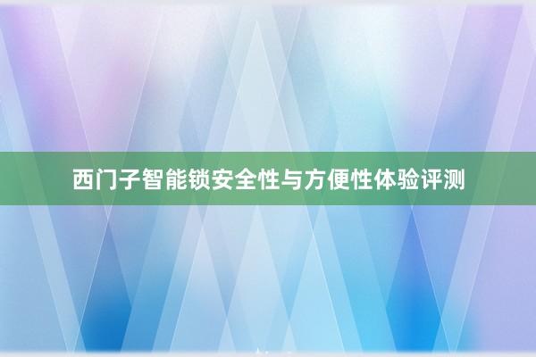 西门子智能锁安全性与方便性体验评测